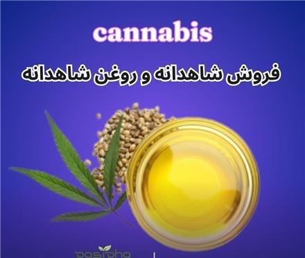 فروش شاهدانه و روغن شاهدانه