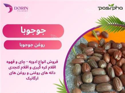 فروش جوجوبا و فروش روغن جوجوبا