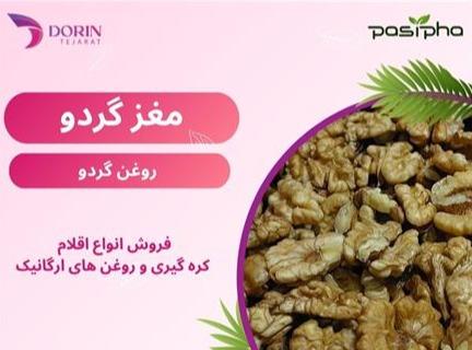 فروش مغز گردو و فروش روغن گردو