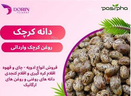 فروش کرچک و فروش روغن کرچک اصل