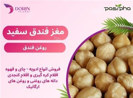 فروش مغز فندق و فروش روغن فندق