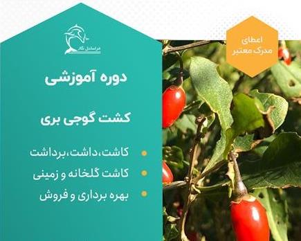 دوره آموزشی پرورش گوجی بری