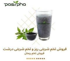 فروش تخم شربتی و فروش تخم ریحان