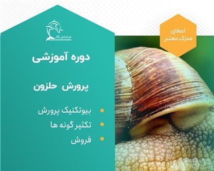 دوره آموزشی پرورش و تکثیر حلزون